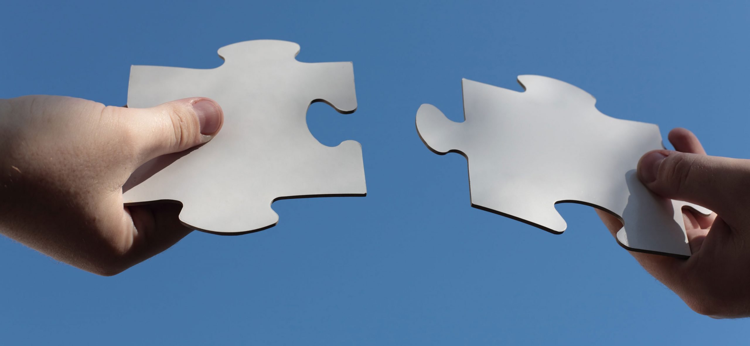 Puzzelstukjes