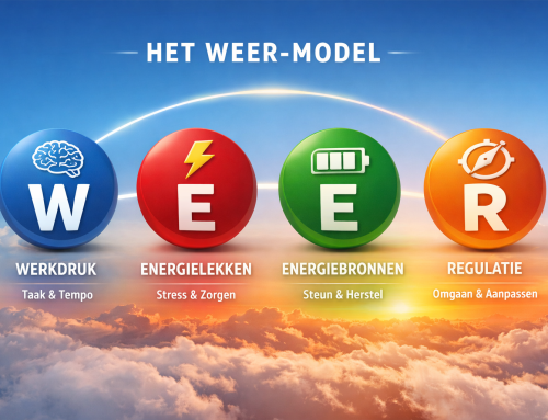 De weerbaarheidsparadox: waarom weerbaarheid pas werkt als je verder kijkt dan de mens zelf!